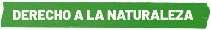 derecho a la naturaleza logo