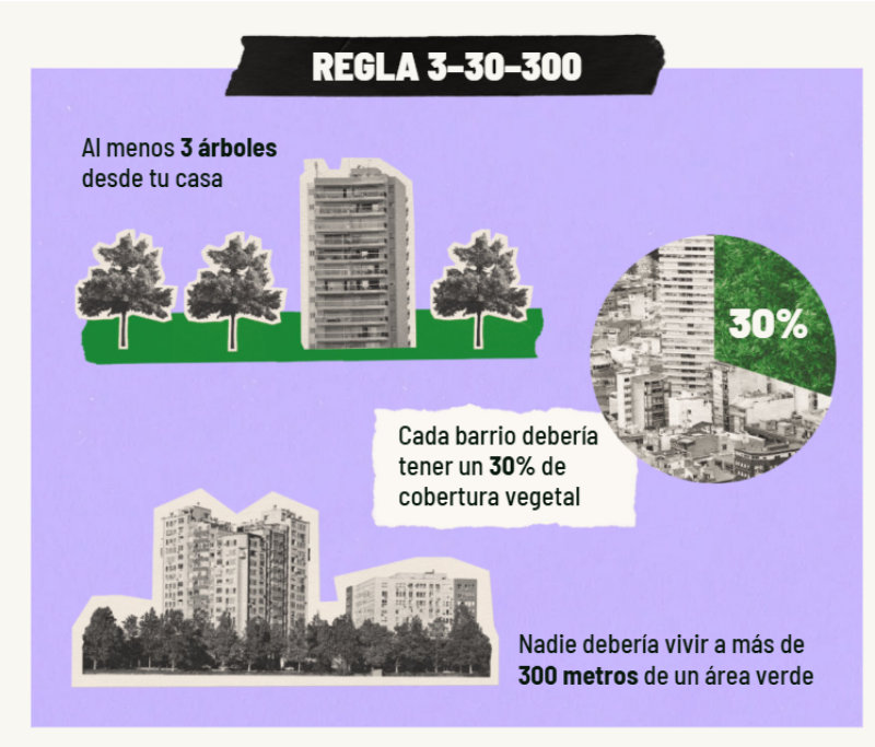 Regla 3 30 30
